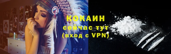 шишки Дмитров