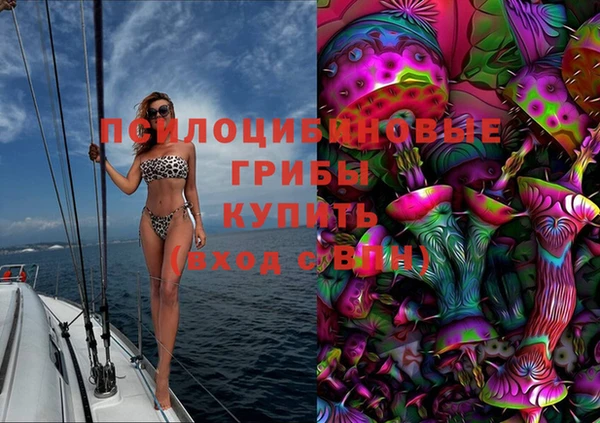 СК Дмитриев